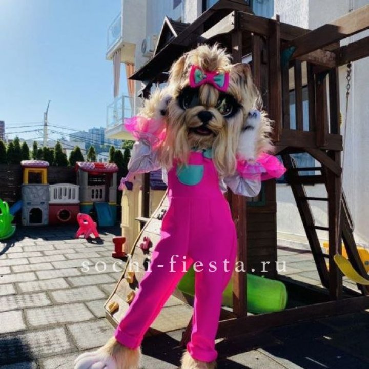 Аниматор Гламурная Собака в Новочеркасске