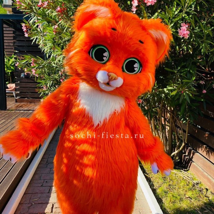 Аниматор Котик в Новочеркасске