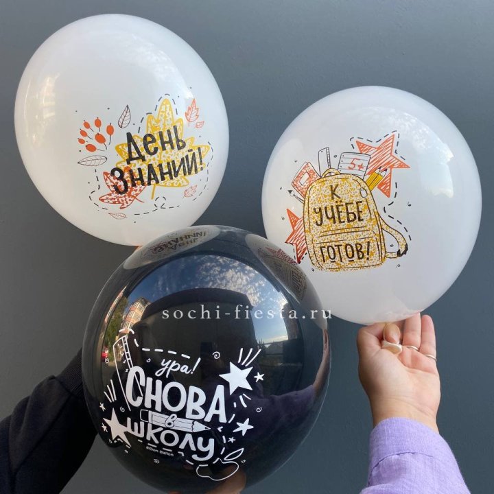 Воздушный шар к 1 сентября в Новочеркасске