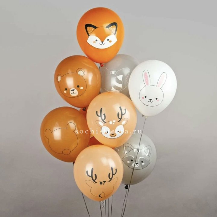 Воздушный шар "Животные" в Новочеркасске