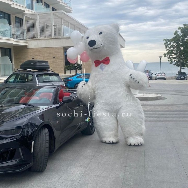 Аниматор Белый Медведь в Новочеркасске