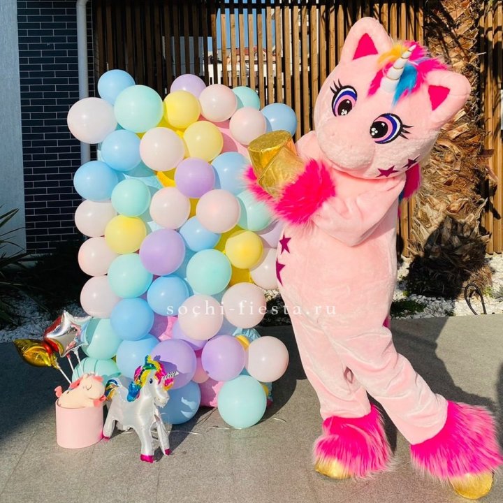 Аниматор Единорог в Новочеркасске