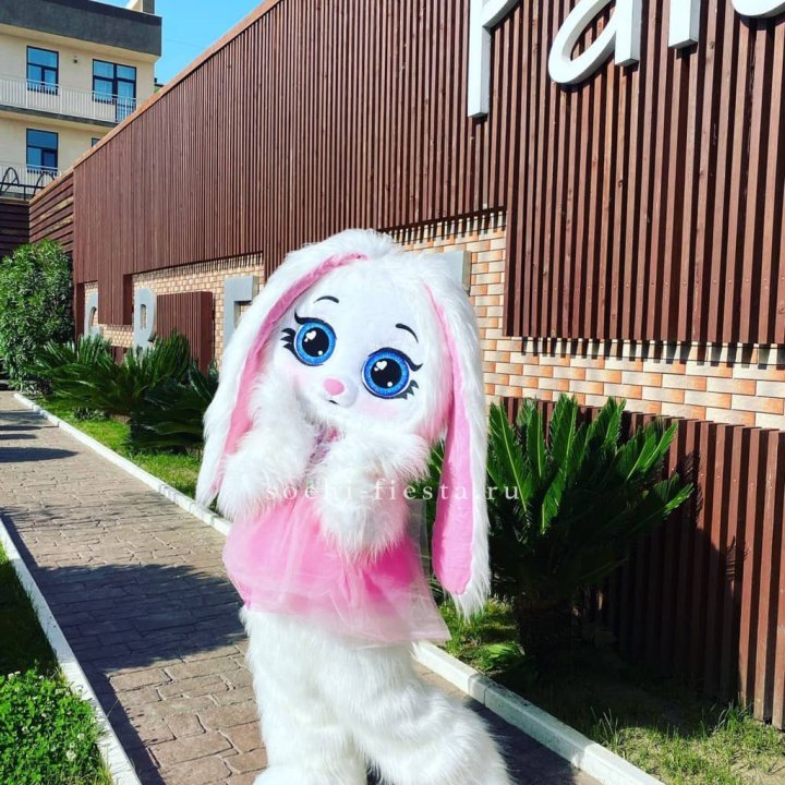 Аниматор Зайка в Новочеркасске