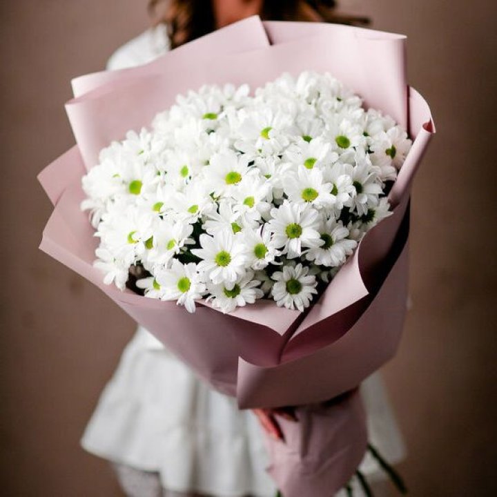 Букет хризантем №2 в Новочеркасске