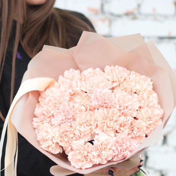 Диантусы №2 в Новочеркасске