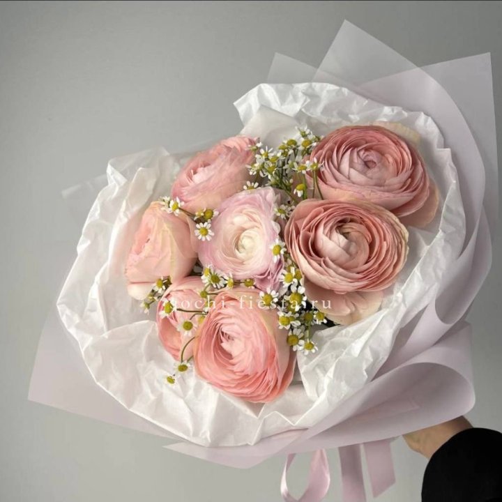 Ранункулюсы с ромашками в Новочеркасске