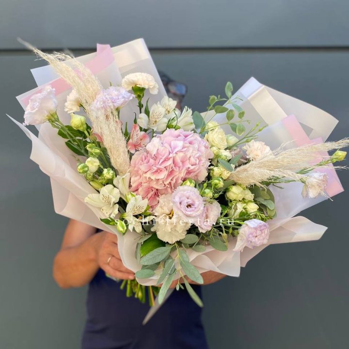 Гортензия "Пинк флоид" в Новочеркасске