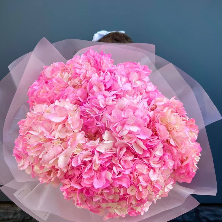 9 ярко розовых гортензий в Новочеркасске