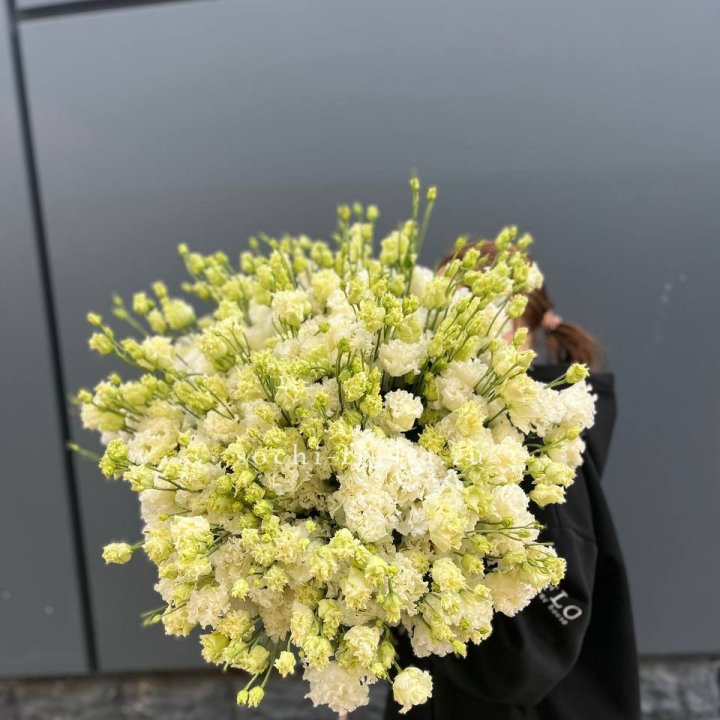 51 белая эустома в Новочеркасске