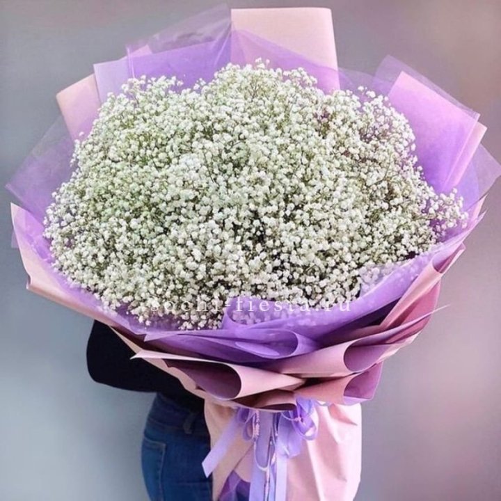 Облако белых гипсофил в Новочеркасске