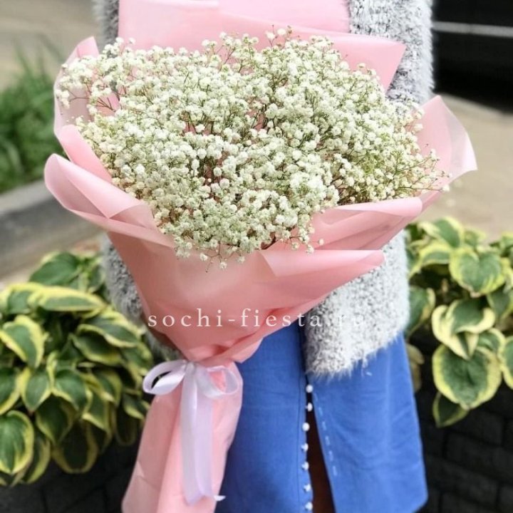 Белоснежные гипсофилы в Новочеркасске