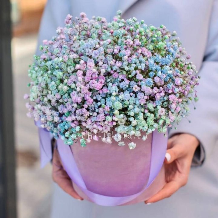 Гипсофилы в шляпной коробке "Кандилайт" в Новочеркасске