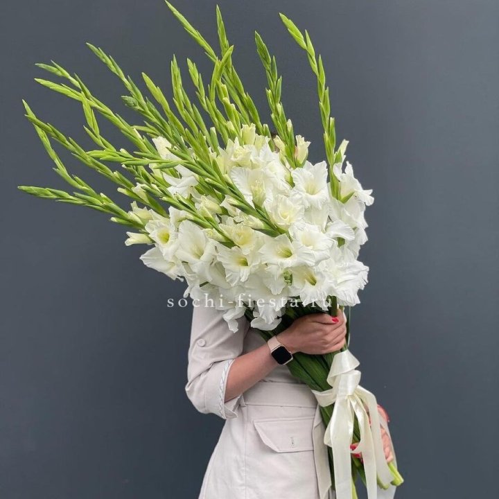 19 белых гладиолусов под ленту в Новочеркасске