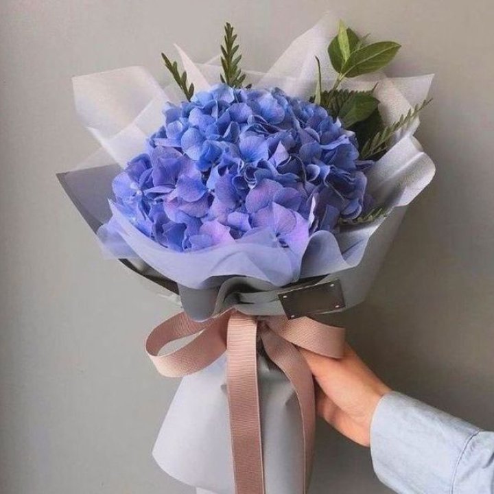 Гортензия голубая в Новочеркасске