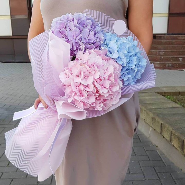 Букет гортензий "Пуф" в Новочеркасске