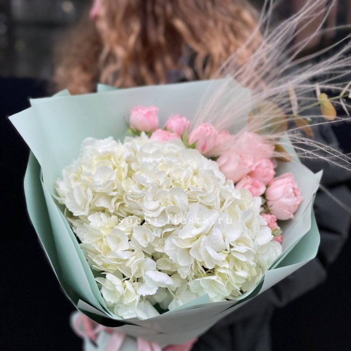 Гортензия "Жасмин" в Новочеркасске