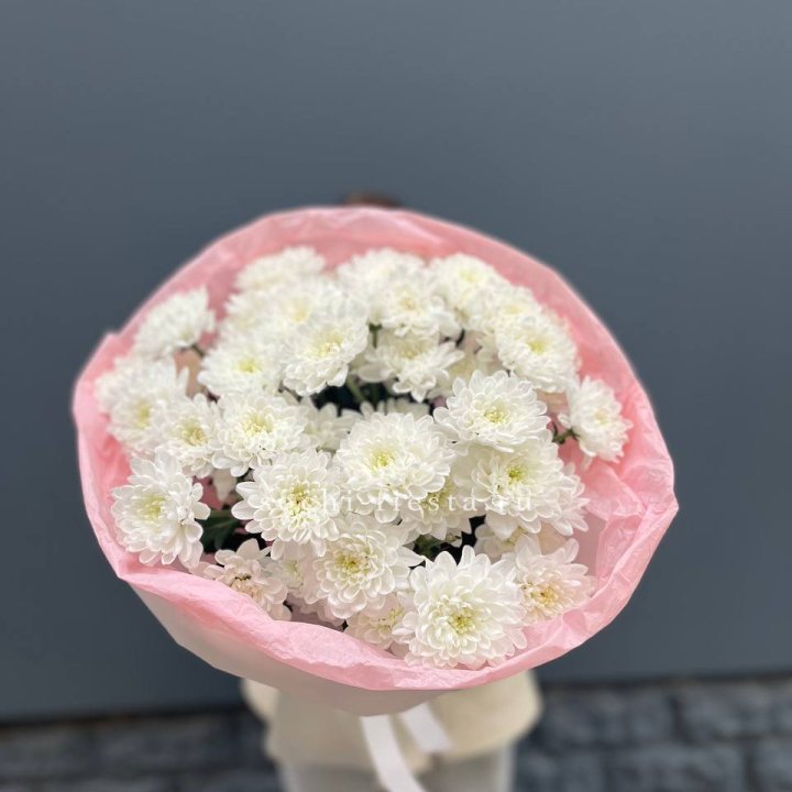  5 хризантем  в Новочеркасске