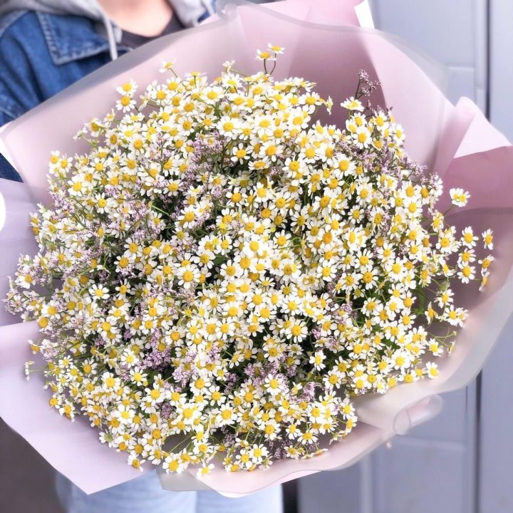 Букет ромашек №1 в Новочеркасске