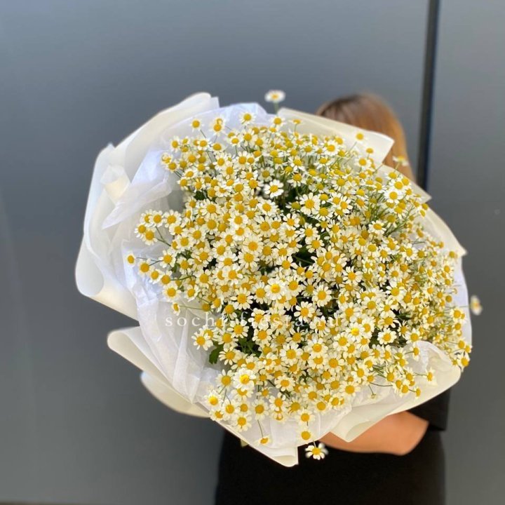 Букет ромашек "Фемели" в Новочеркасске