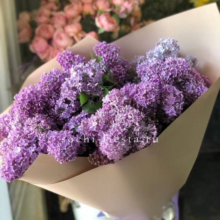 Букет сирени №2 в Новочеркасске