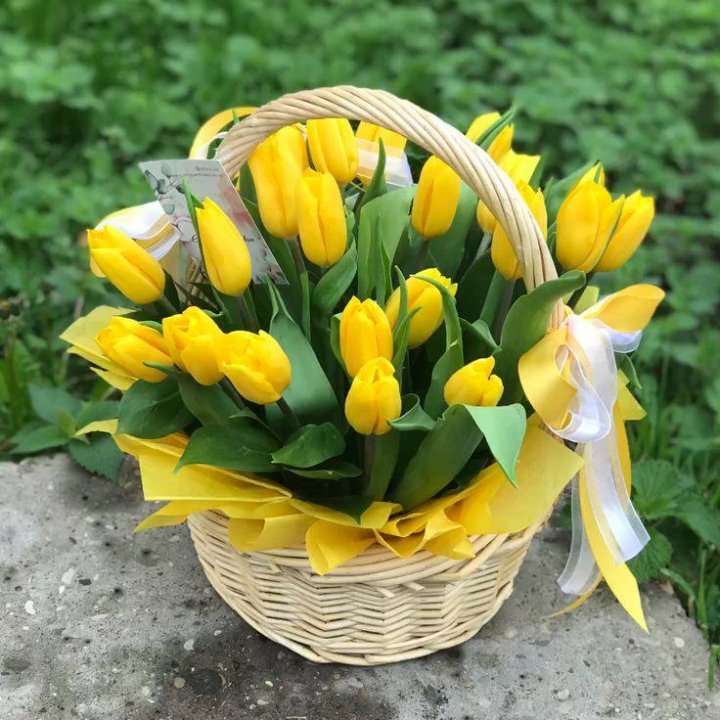 25 желтых тюльпанов в корзине в Новочеркасске