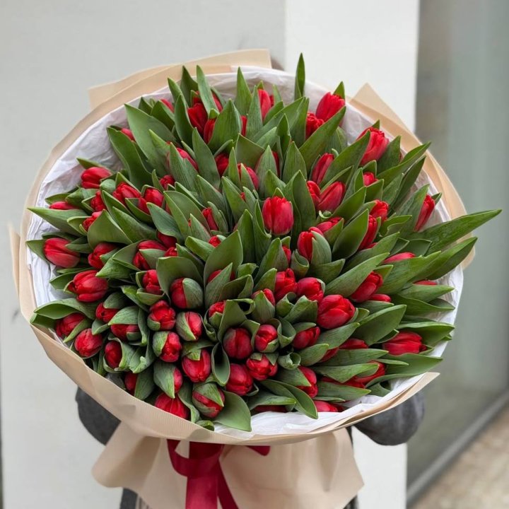 101 красный тюльпан в Новочеркасске