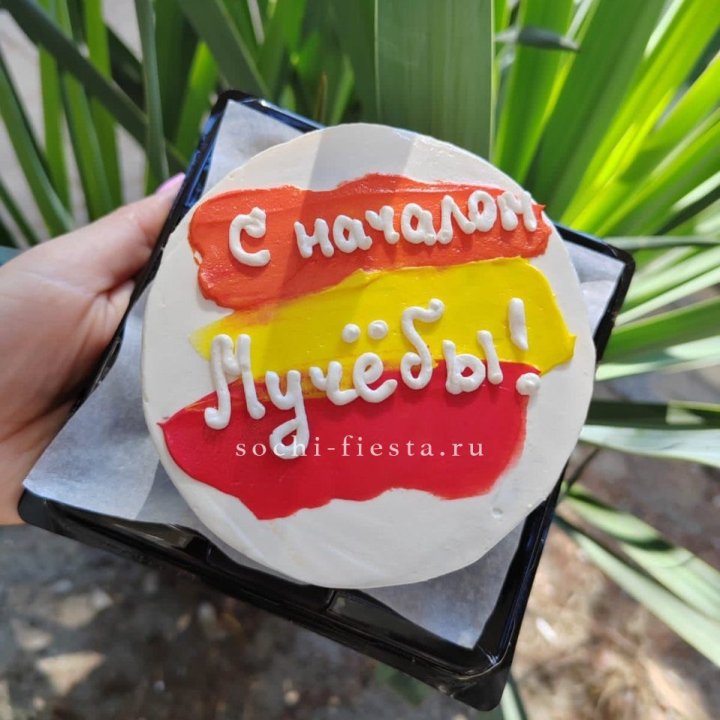 Бенто-торт "С началом учёбы"" в Новочеркасске