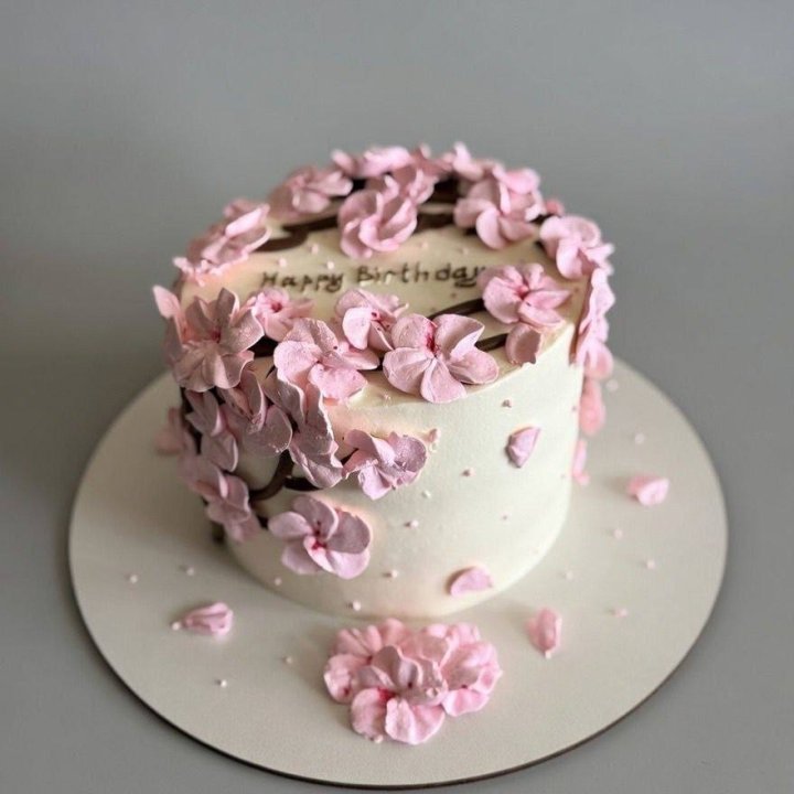 Бенто-торт "С днём рождения..." в Новочеркасске