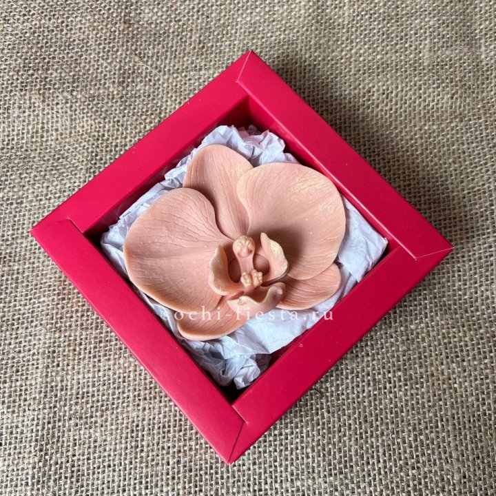 Бельгийский шоколад Орхидея в Новочеркасске