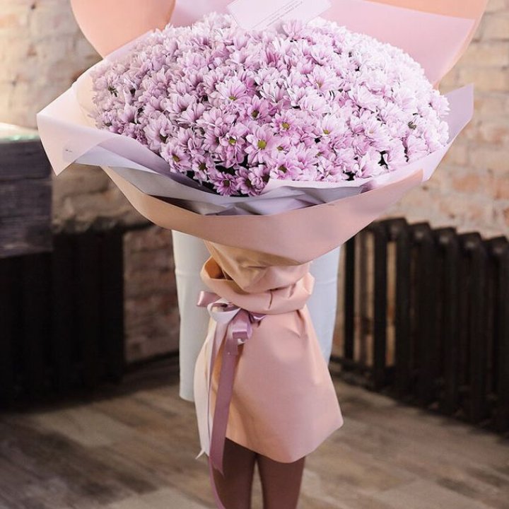 Облако хризантем №1 в Новочеркасске