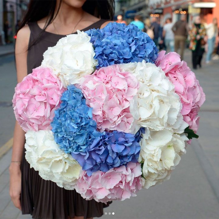 Букет гортензий "Инь-Янь" в Новочеркасске