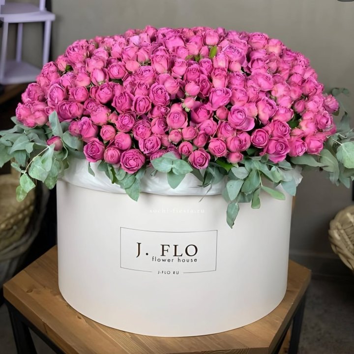 Цилиндр с Мисти Бабблс  в Новочеркасске