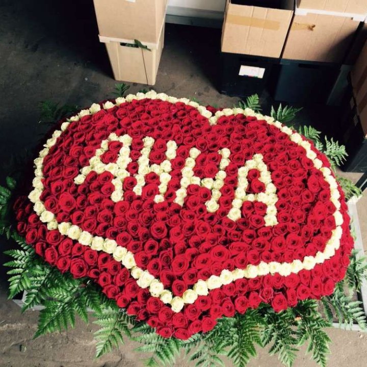 555 роз с именем в Новочеркасске