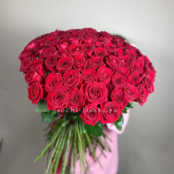 101  голландская роза  в Новочеркасске