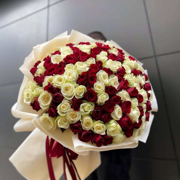 101 высокая импортная роза  в Новочеркасске