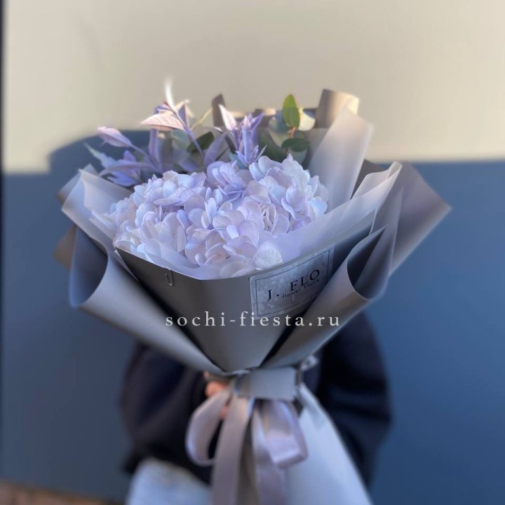 Гортензия "Виолета" в Новочеркасске