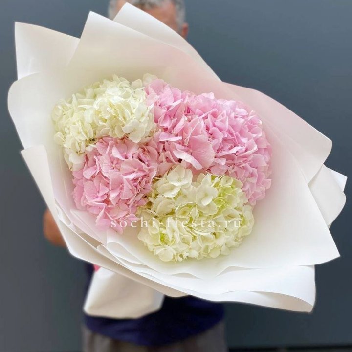 Букет гортензий №5 в Новочеркасске