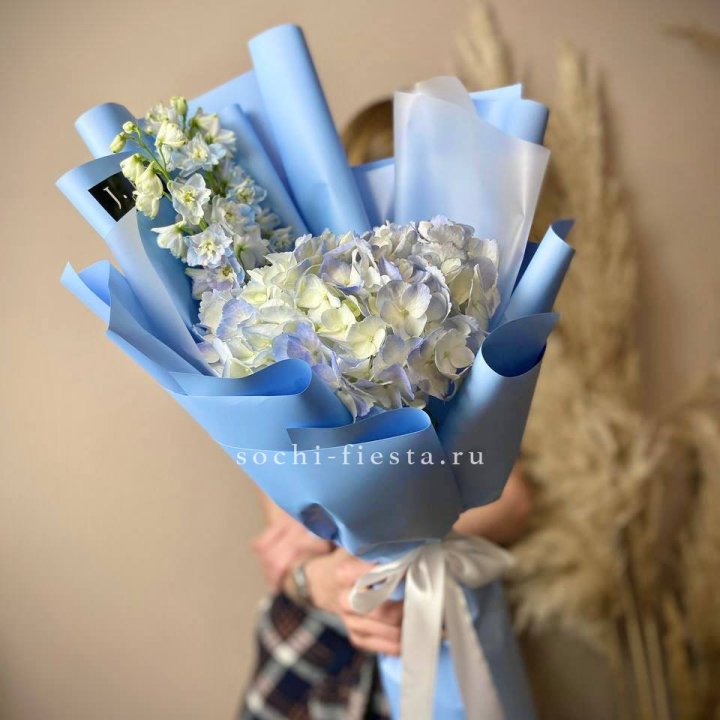 Гортензия "Блю скай" в Новочеркасске