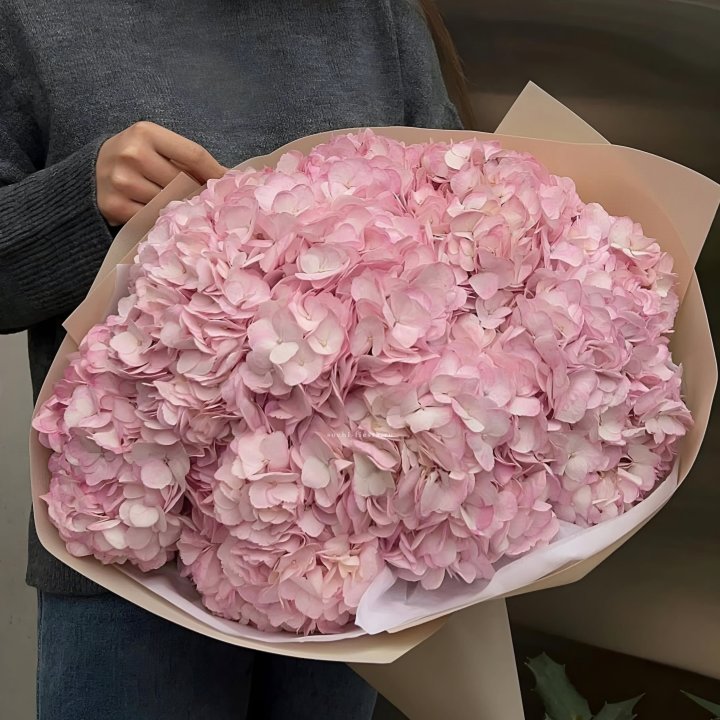 Гортензия  "РОЗЕ" в Новочеркасске