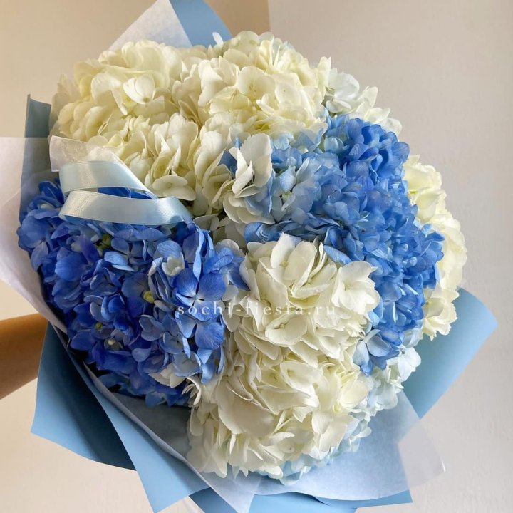 Букет гортензий "Голубая лаза" в Новочеркасске