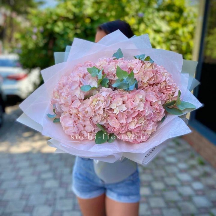 5 розовых гортензий  в Новочеркасске