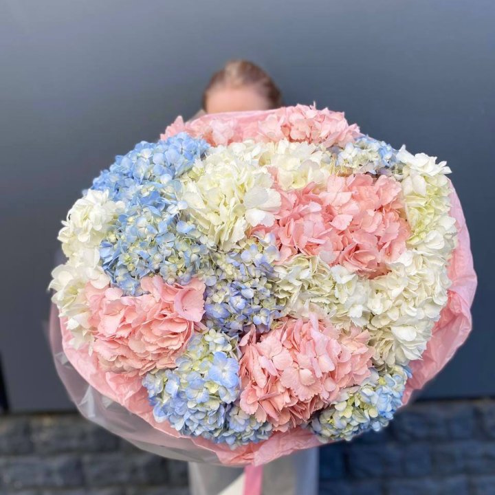 19 гортензий микс в Новочеркасске