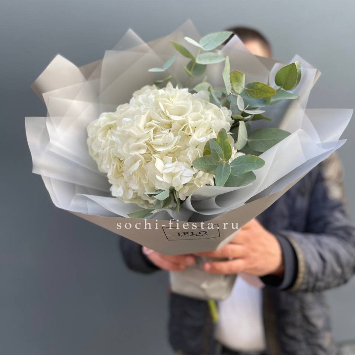  Букет  из белой гортензии в Новочеркасске