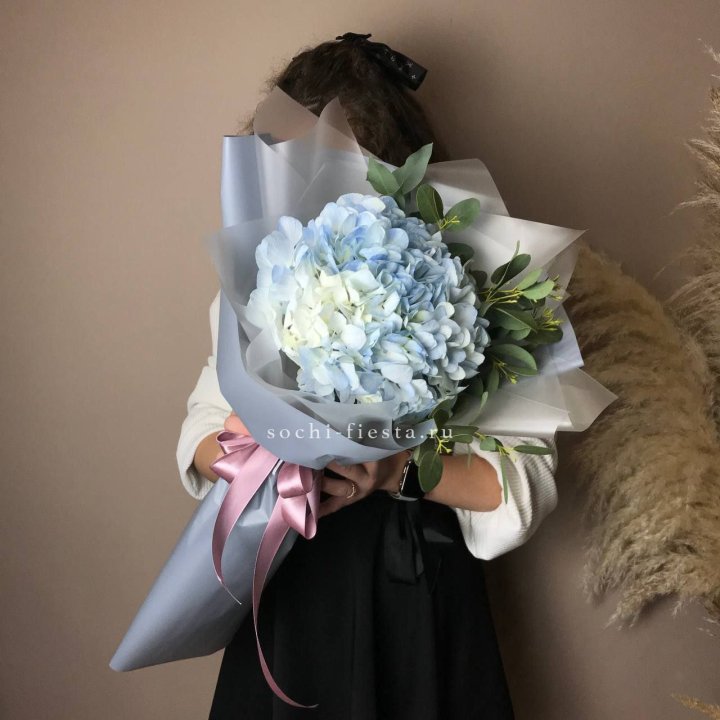 Гортензия Уно в Новочеркасске