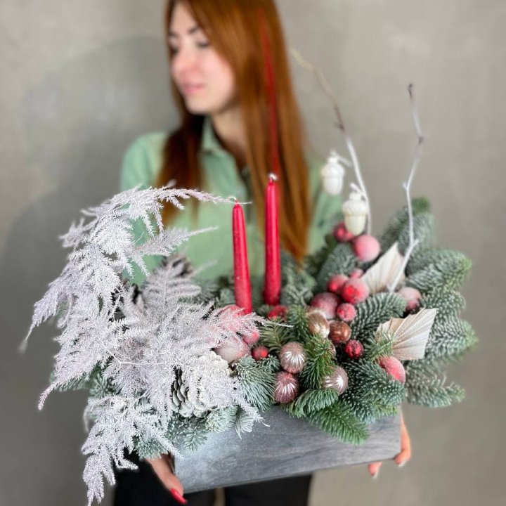 Бокс красный с нобилисом в Новочеркасске