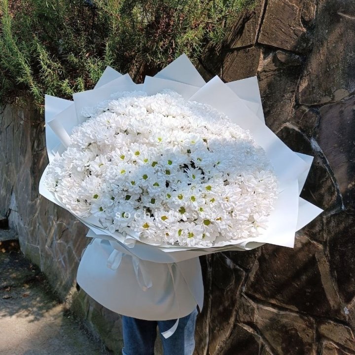 Облако хризантем №2 в Новочеркасске