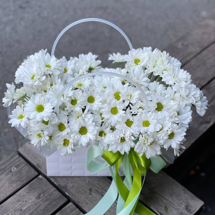 Сумка с хризантемами ромашками в Новочеркасске