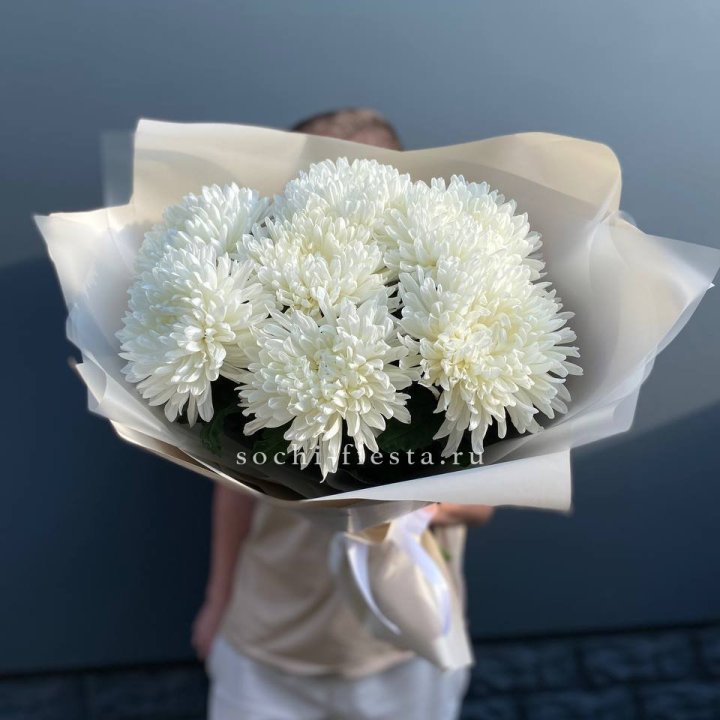 Профитроли в Новочеркасске