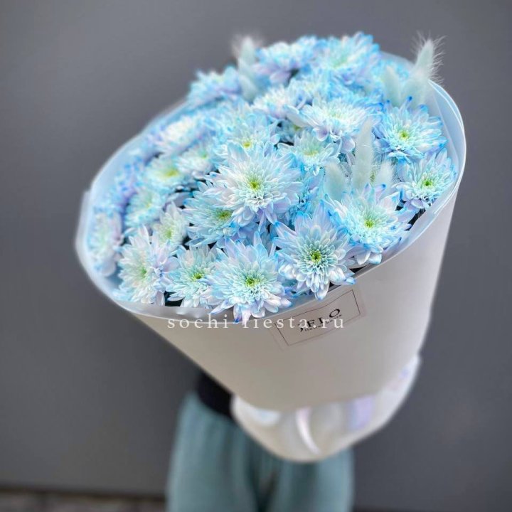  Букет нежно-голубых хризантем  в Новочеркасске