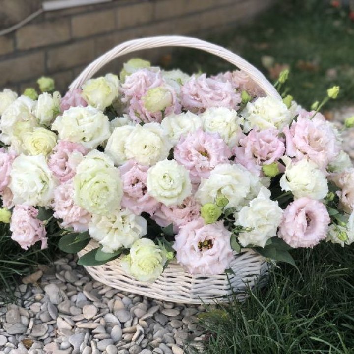 Корзина с эустомой в Новочеркасске